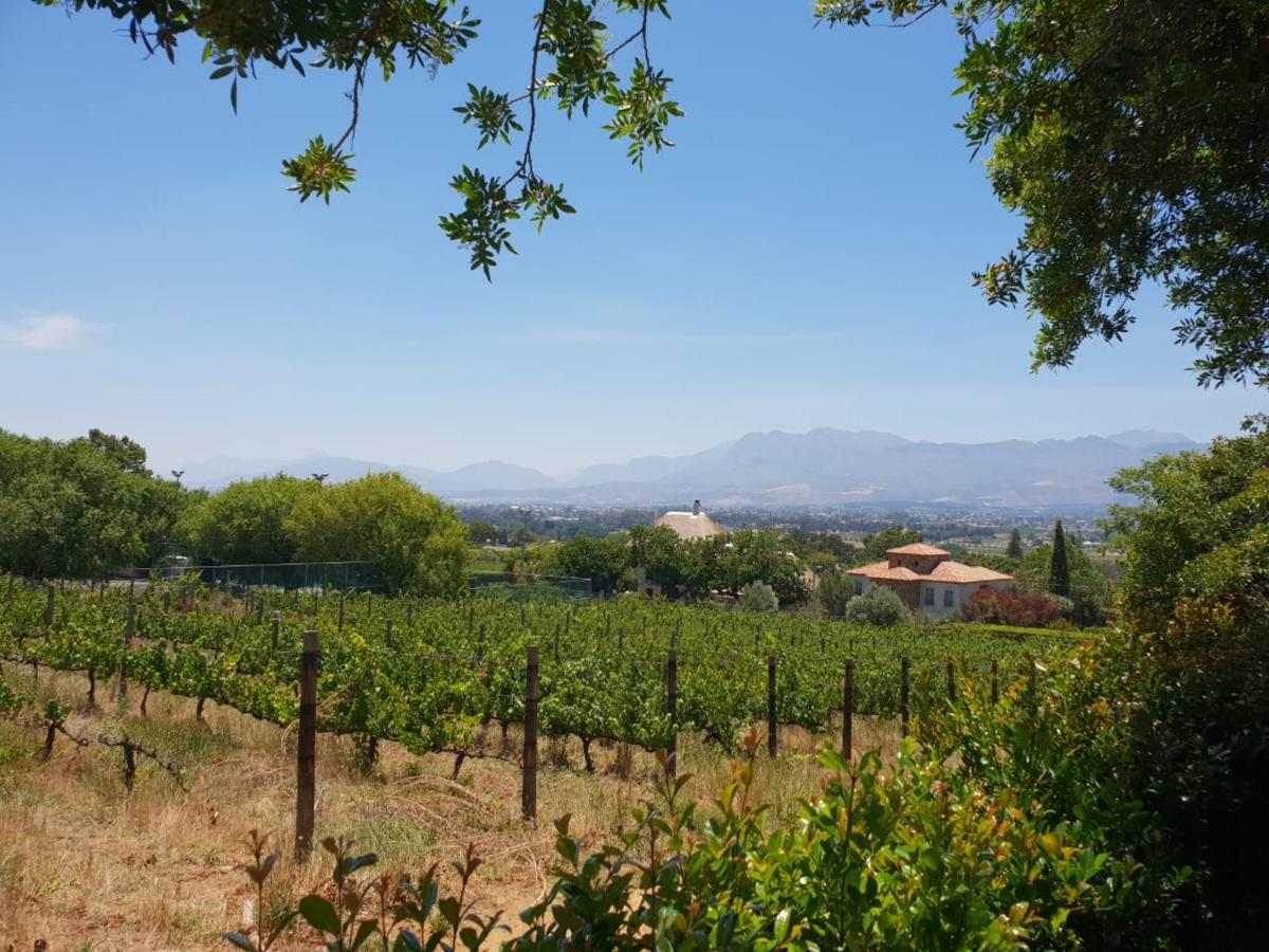 De Wingerd Wijnland Lodge Paarl Luaran gambar
