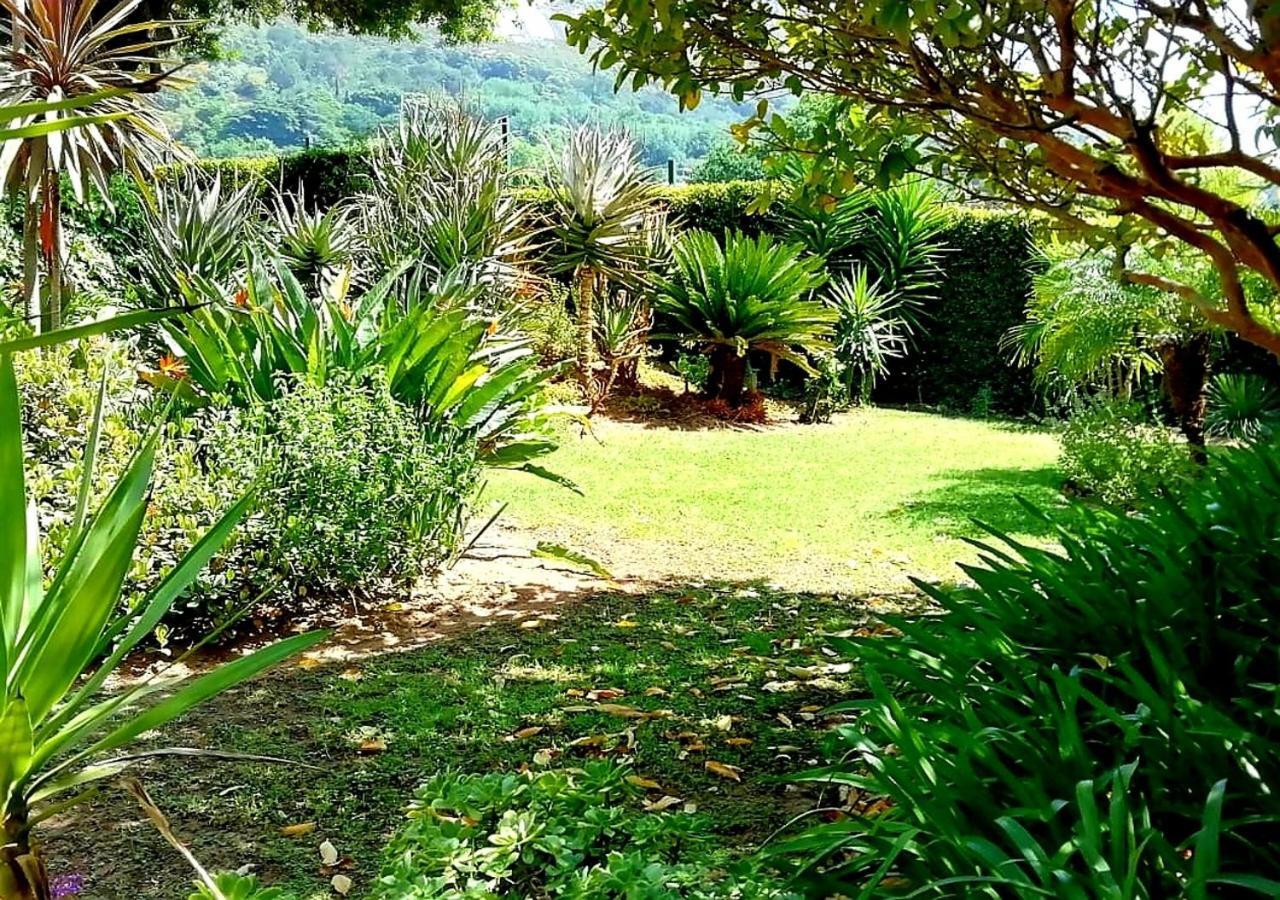 De Wingerd Wijnland Lodge Paarl Luaran gambar